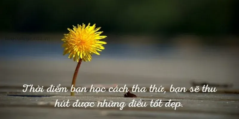 Khám phá 200 câu châm ngôn về hoa mang ý nghĩa sâu sắc nhất 4