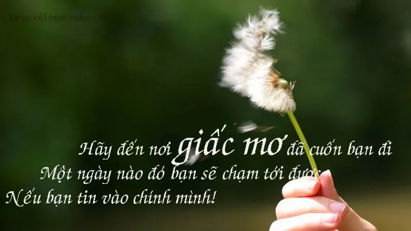 Top những câu châm ngôn về ước mơ truyền cảm hứng cho đọc giả 3