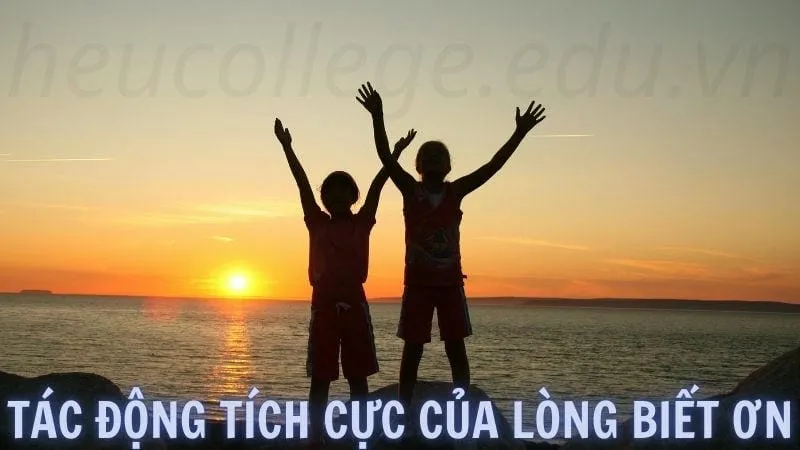 Những câu nói về lòng biết ơn trong cuộc sống ý nghĩa 5