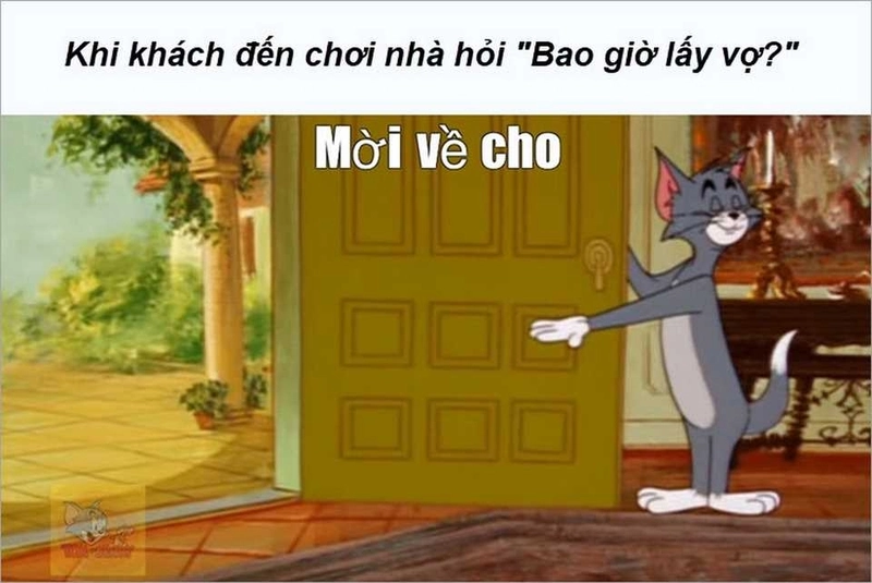 Những hình ảnh Tom và Jerry ấn tượng nhất