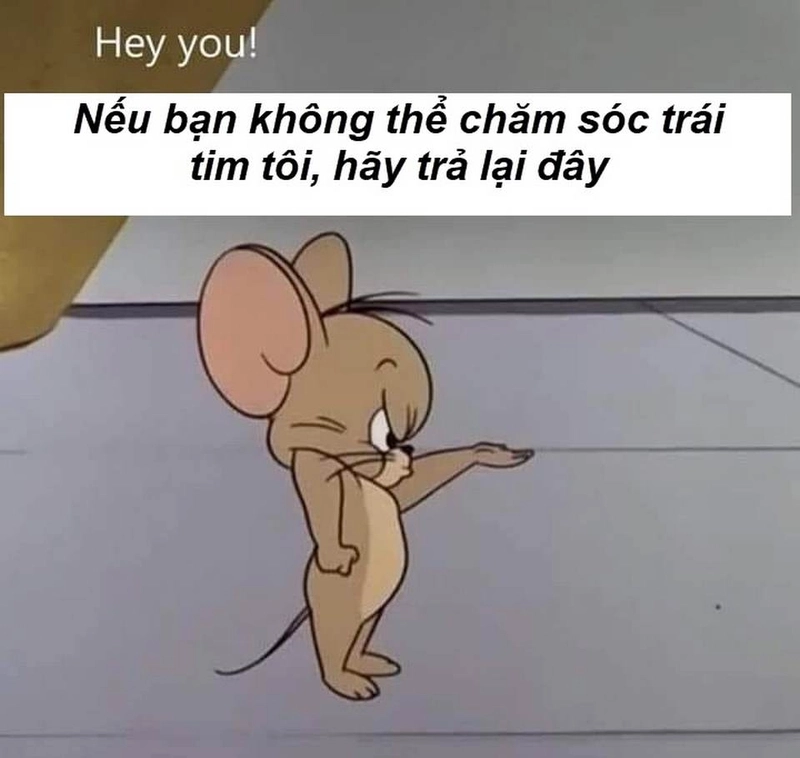 Hình Tom and Jerry hài với những khoảnh khắc khó đỡ