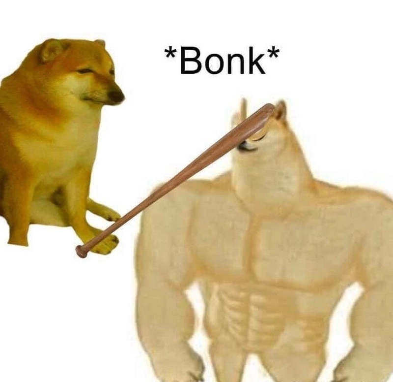 Ảnh chó shiba meme với phong cách hài hước cực viral
