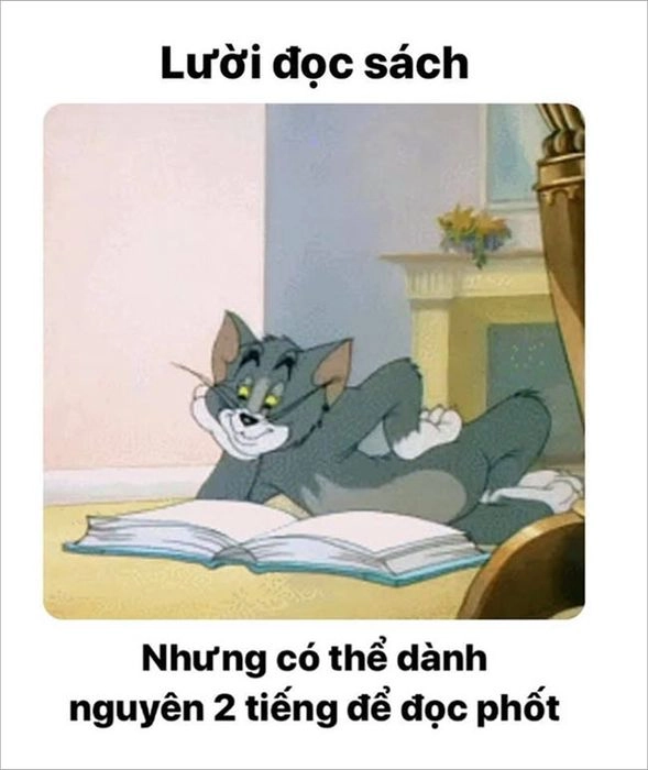 Ảnh meme Tom and Jerry siêu hài khiến ai cũng phải bật cười