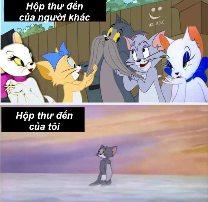 Tom và Jerry hình ảnh đẹp và cực dễ thương