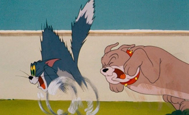 Tom và Jerry ảnh hài hước nhất mọi thời đại