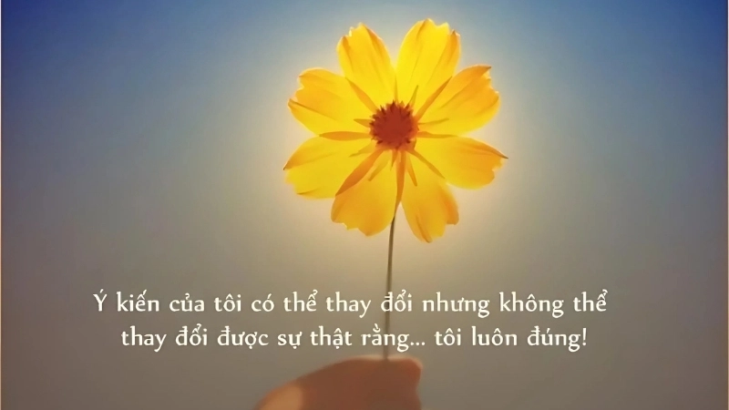 Caption hay cho story giúp bạn ghi điểm cực nhanh