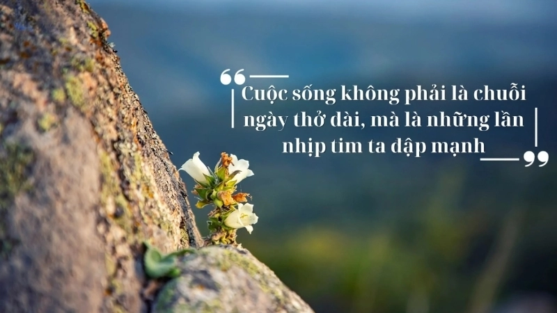 Những caption về cuộc sống đơn giản giúp tâm hồn bình yên