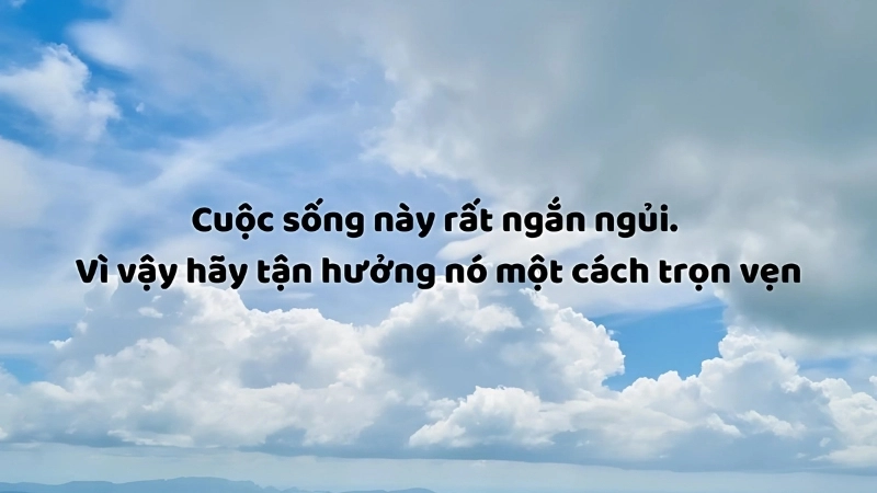 Những caption vui về cuộc sống hài hước và ý nghĩa