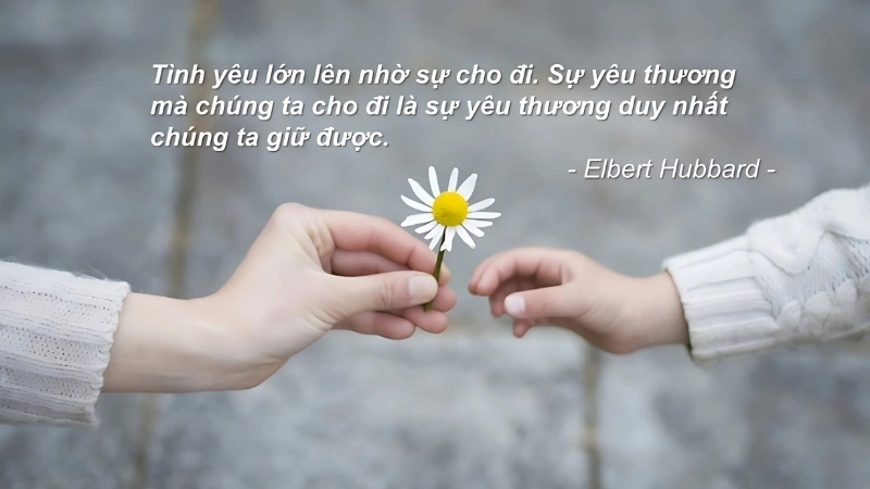 Châm ngôn ngắn về tình yêu đong đầy cảm xúc và ý nghĩa
