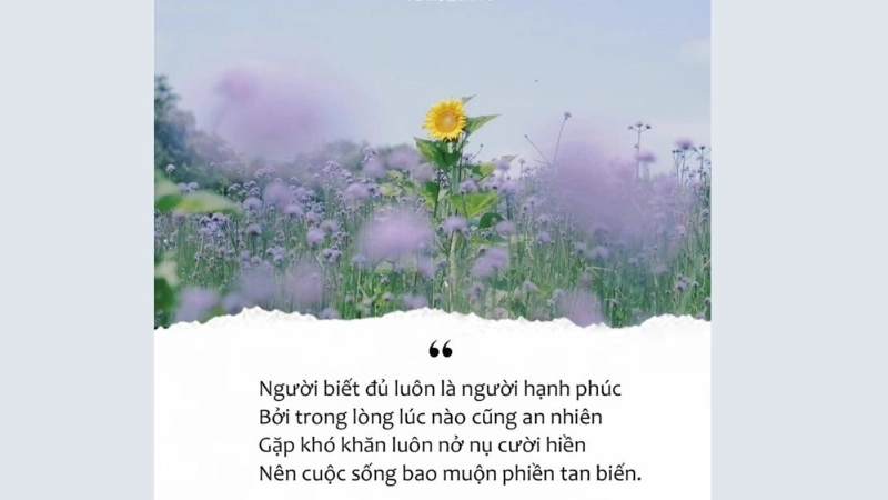 Top châm ngôn về cuộc sống đơn giản để áp dụng mỗi ngày