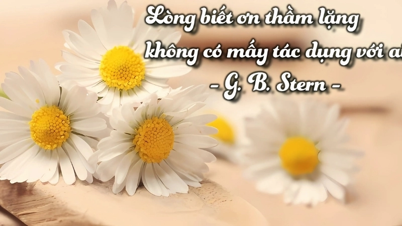 Châm ngôn về lòng biết ơn trong cuộc sống giúp bạn trân trọng hơn