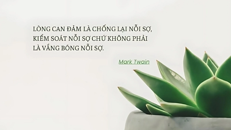 Châm ngôn về lòng dũng cảm ý nghĩa nhất giúp bạn mạnh mẽ hơn