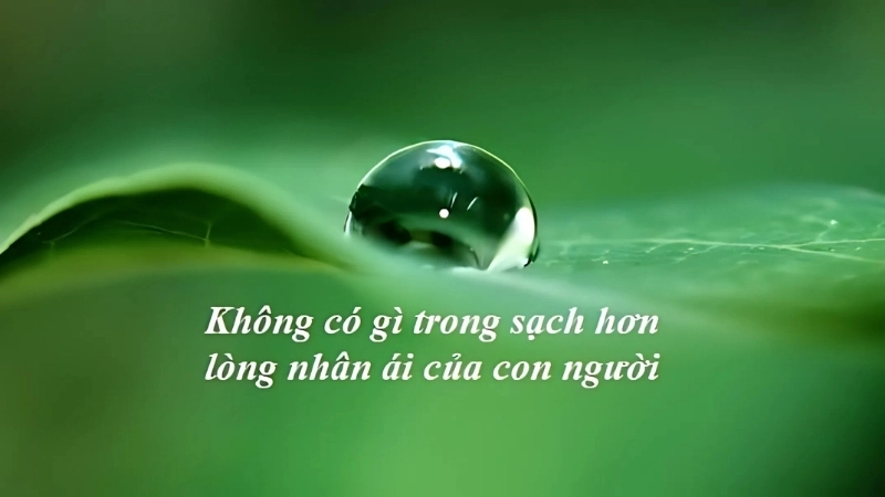Châm ngôn về lòng nhân ái giúp cuộc sống ý nghĩa hơn