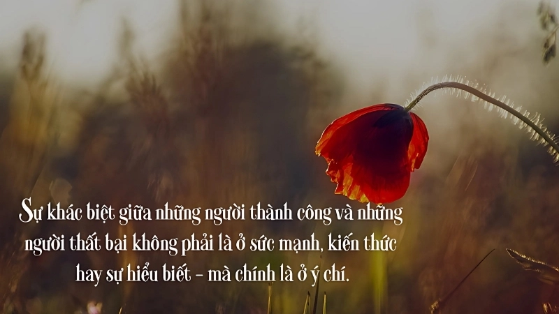 Những châm ngôn về nghị lực truyền cảm hứng mạnh mẽ