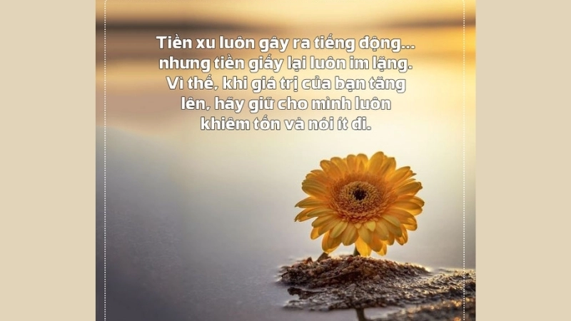 Châm ngôn về sự khiêm tốn giúp bạn trưởng thành và thành công