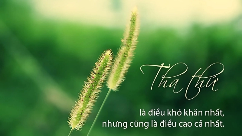 Châm ngôn về sự tha thứ giúp cuộc sống nhẹ nhàng hơnChâm ngôn về sự tha thứ giúp cuộc sống nhẹ nhàng hơn