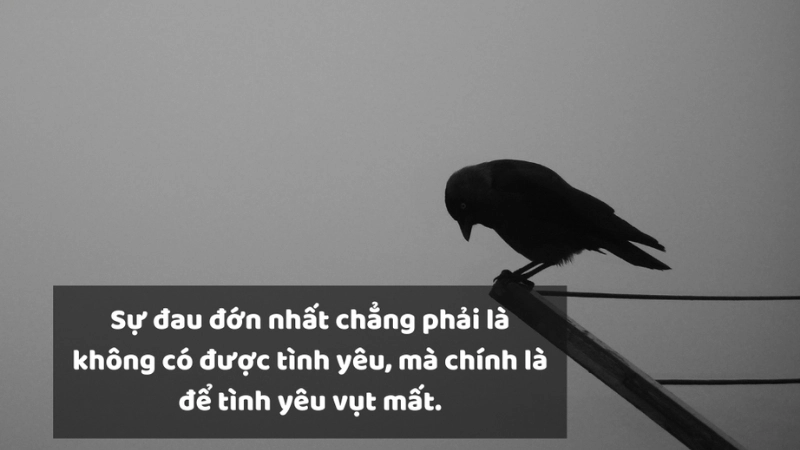 Top stt tâm trạng khi thất tình khiến tim se thắt