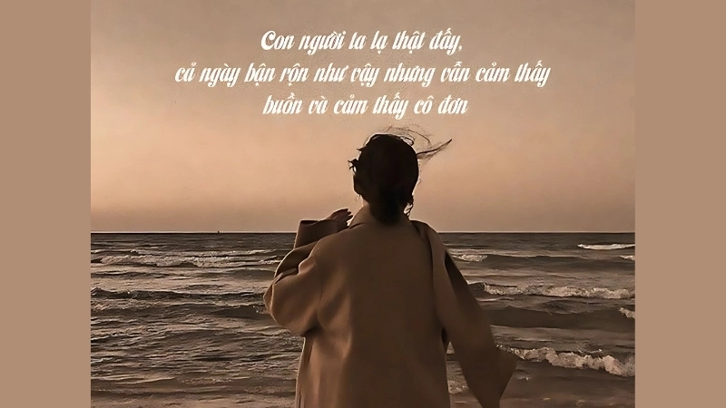 Stt về cô đơn giữa đám đông khiến trái tim ai cũng rung động