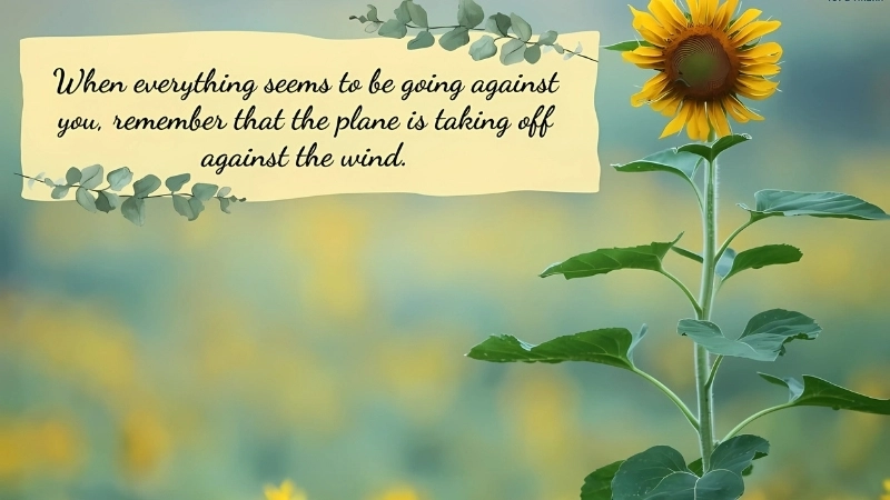 Stt về ngày mới truyền cảm hứng cho ngày mới