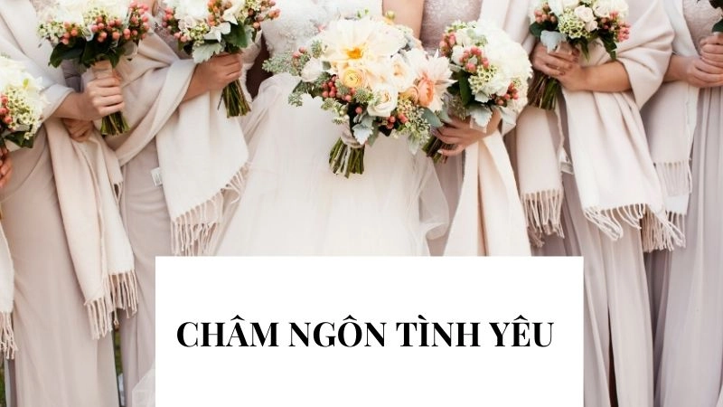 Châm ngôn giúp bạn chấp nhận rằng “kết thúc cũng là khởi đầu”
