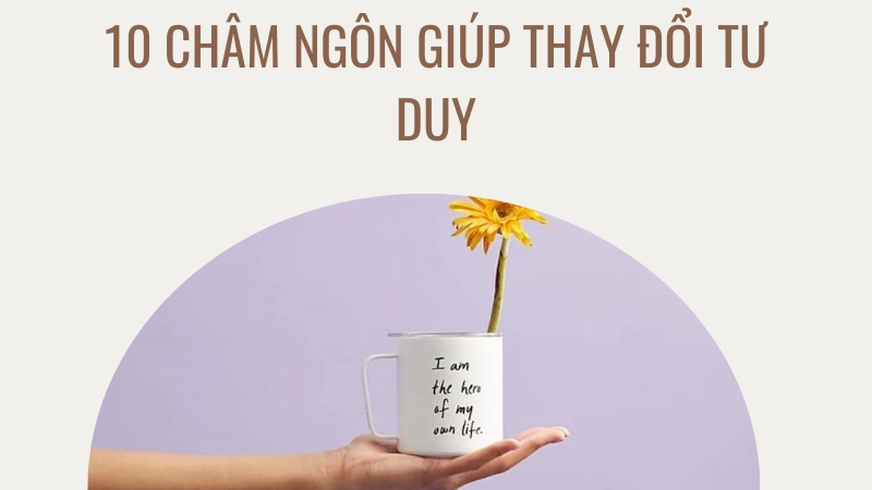 Tổng hợp các câu châm ngôn hay giúp thay đổi tư duy tích cực