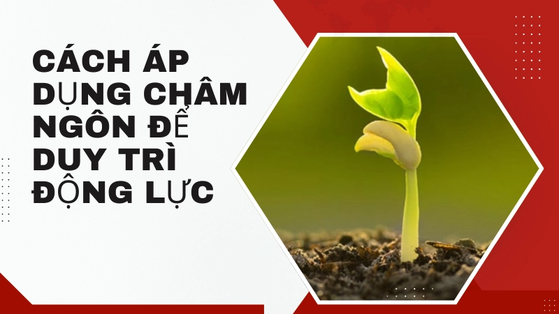 Cách áp dụng châm ngôn để duy trì động lực