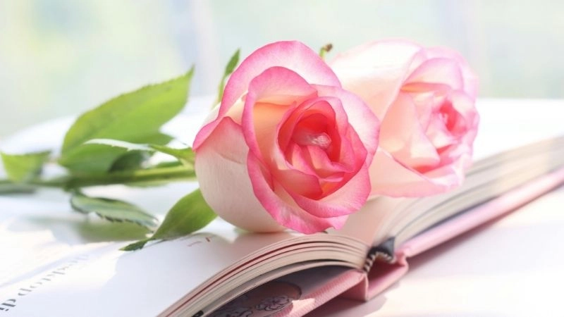 Tại sao nên chọn số lượng hoa theo phong thủy?